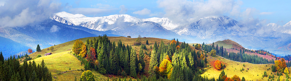 Fall - Winter Landscape