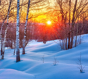 Winter Sunset